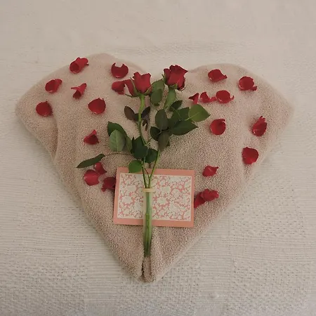Manoir La Betoulle Bed & Breakfast *