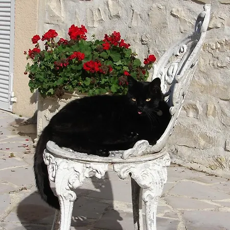 Alojamento de Acomodação e Pequeno-almoço Manoir La Betoulle *