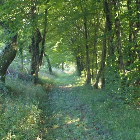 Manoir La Betoulle Saint-Claud