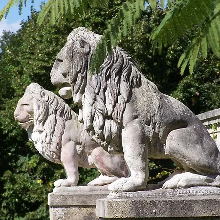 Alojamento de Acomodação e Pequeno-almoço Manoir La Betoulle