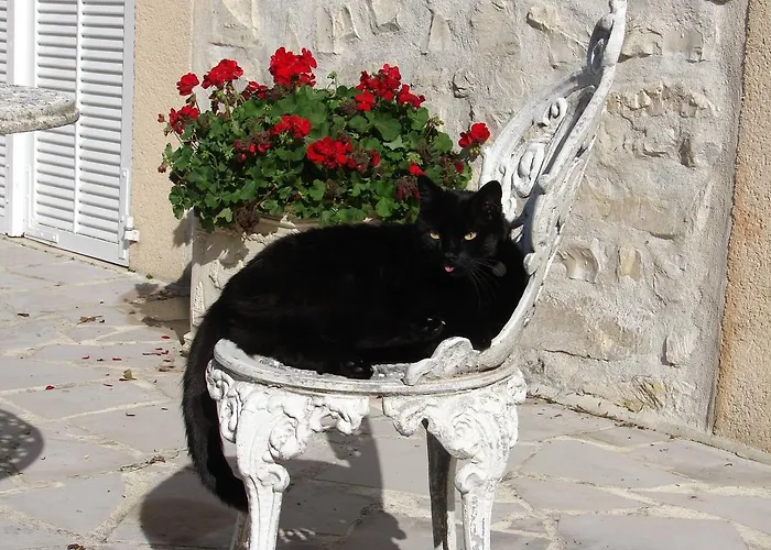 Bed and Breakfast Manoir La Betoulle *