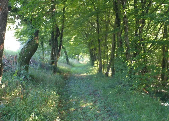 Manoir La Betoulle Saint-Claud